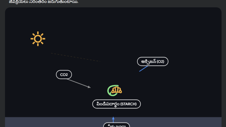 పోషణ – ఆహార సరఫరా వ్యవస్థ (Nutrition – The Food Supplying System)